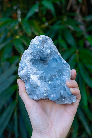Celestite Cluster